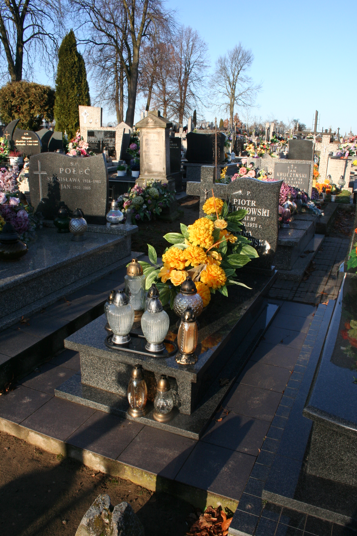 Piotr Paluchowski 1888 Stara Rawa - Grobonet - Wyszukiwarka osób pochowanych