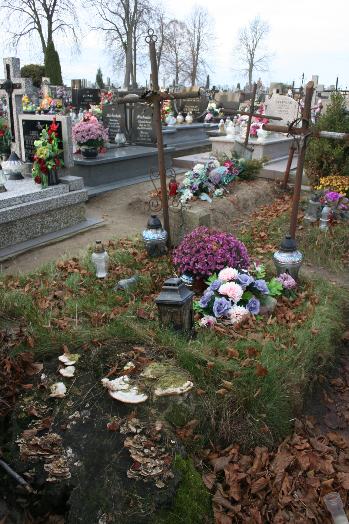 Stanisława Urbaniak Stara Rawa - Grobonet - Wyszukiwarka osób pochowanych